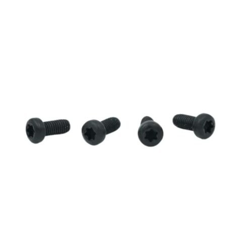 TORX SCREWS